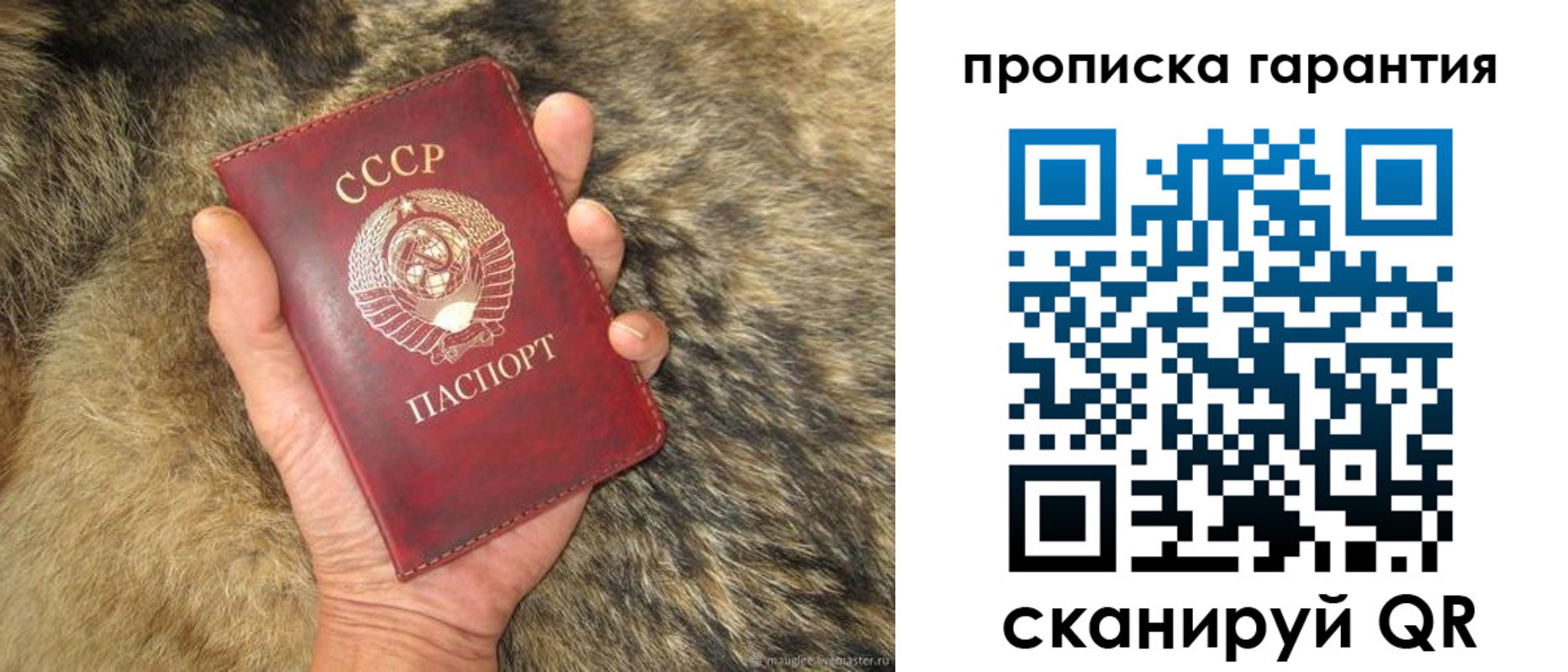 прописка паспорт в Александровске-Сахалинском